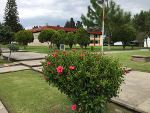 Jardín del ITM
