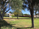Jardín del ITM al amanecer