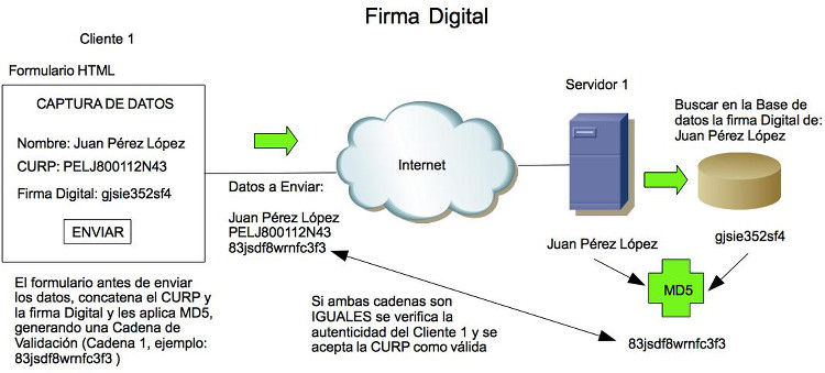 firma digital